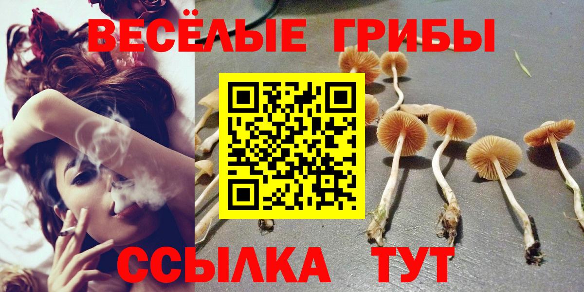 Галлюциногенные грибы GOLDEN TEACHER Чистополь